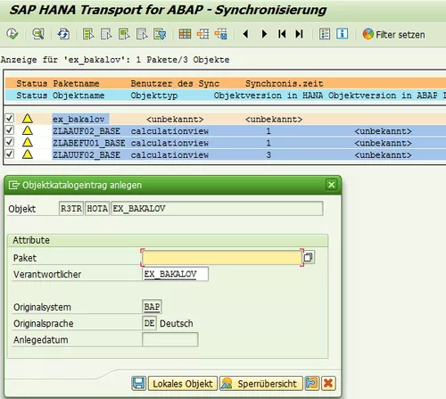 Anlage Externer Hana Views B Telligent