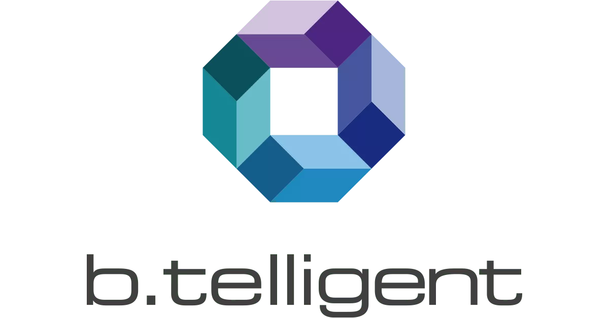 An Overview Of The Company - B.telligent